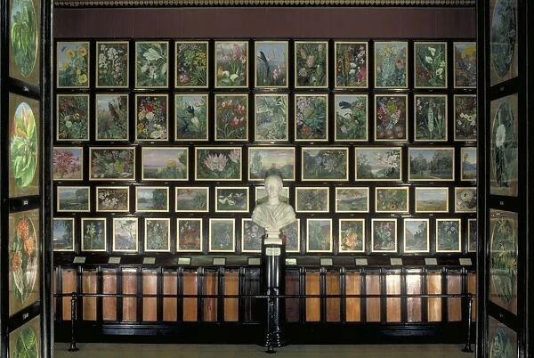 paintings inside the Marianne North Gallery