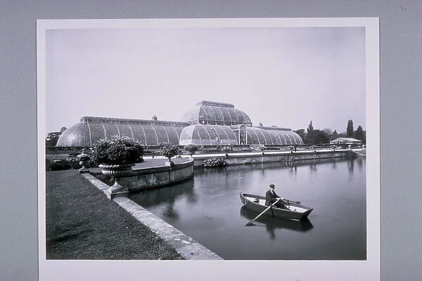 The Palm House. Archival photograph of the Palm House
