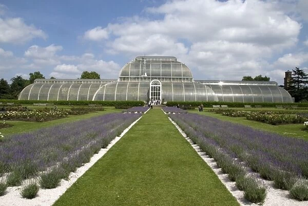 Palm house. Lavender planting in front of the Palm House
