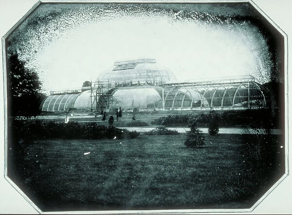 Palm House - final stages of construction