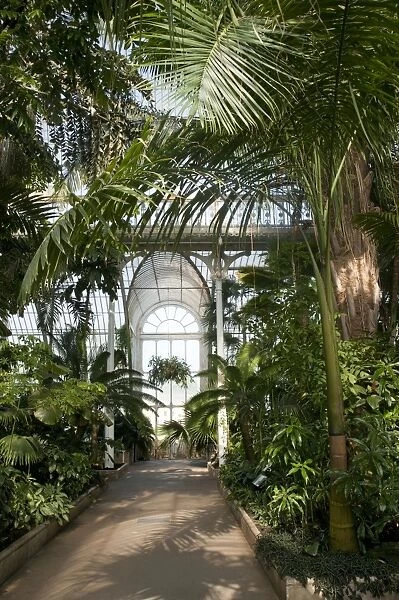 Palm House Interior