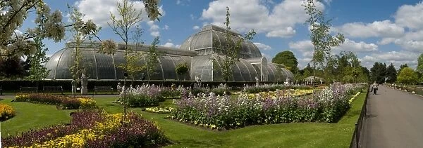 Palm house with spring bedding