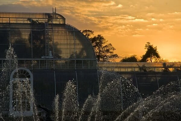 Palm House at sunset