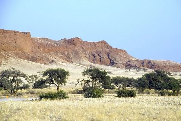 Petrified sandunes near to Namib lodge