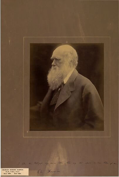 Portrait of Charles Darwin, 1868, by Julia Margaret Cameron