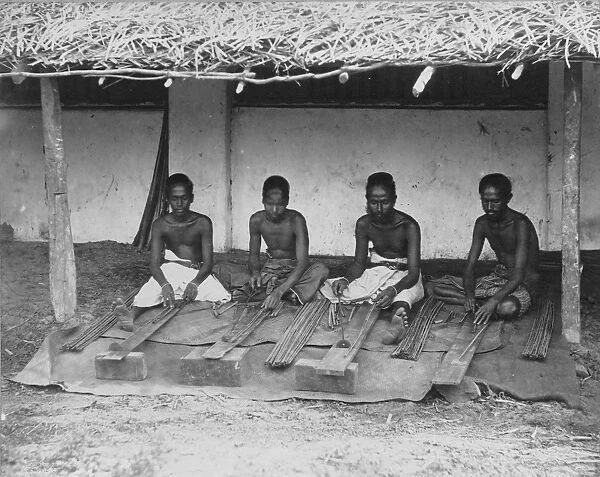 Preparing cinnamon, Sri Lanka, 1880 s