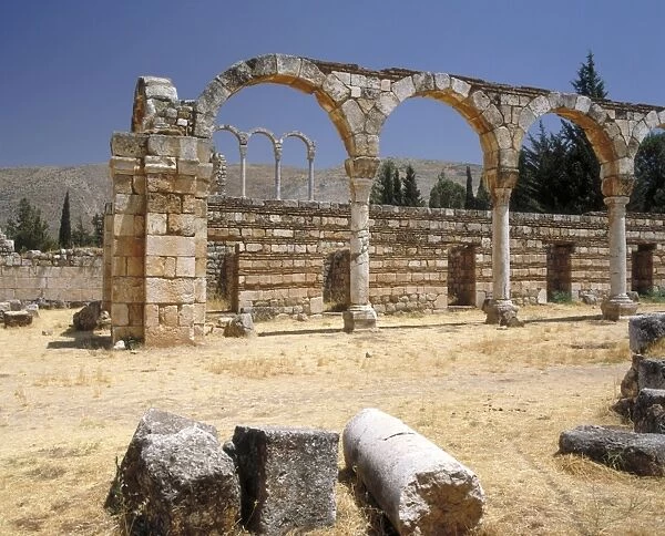 Ruins at Ainjar
