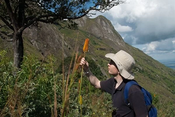 Studying Kniphofia (red hot pokers) on an RBG Kew expedition to Malawi