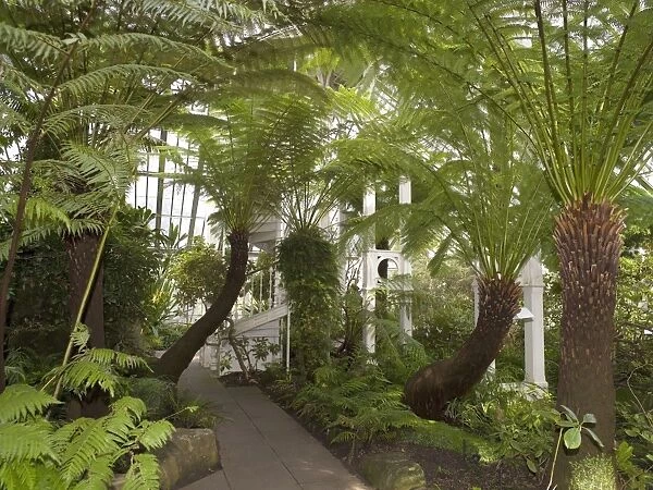 The Temperate House. view through the interior