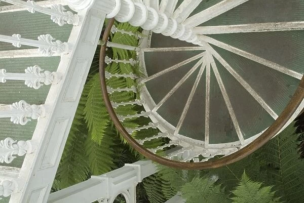 The Temperate House. Victorian staircase