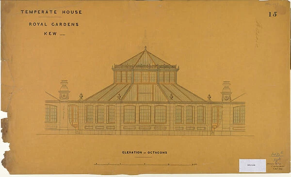 The Temperate House- plan no 15