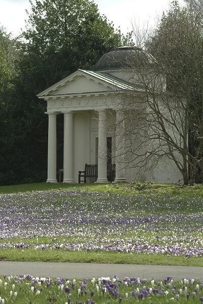 Temple of Bellona surrounded by crocuses