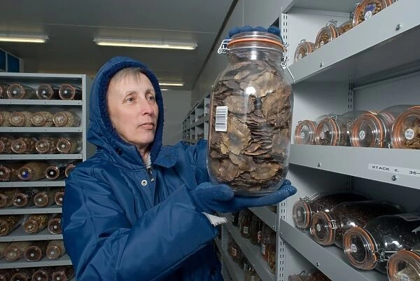 Vaults at the Millennium Seed Bank