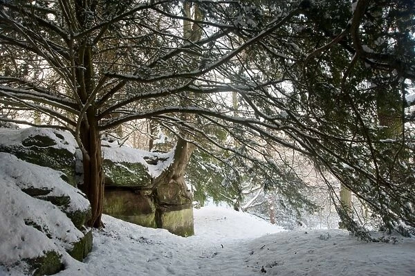 Wakehurst Place in the snow