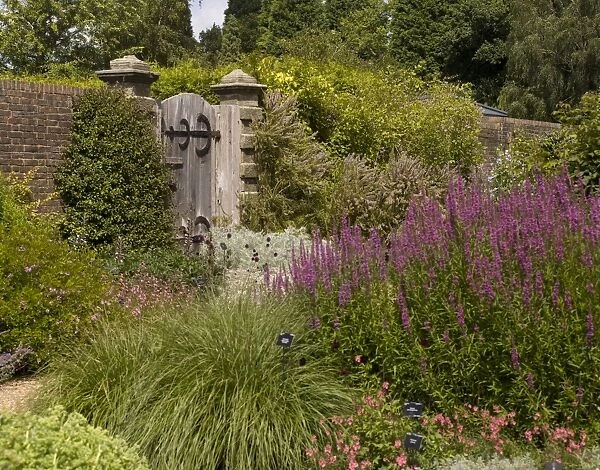 The Walled Garden, Wakehurst Place