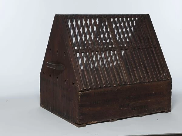 Wardian Case from the Economic Botany Collection, dated ca 1870s