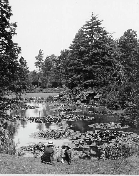 Waterlily Pond, Royal Botanic Gardens, Kew, ca 1900