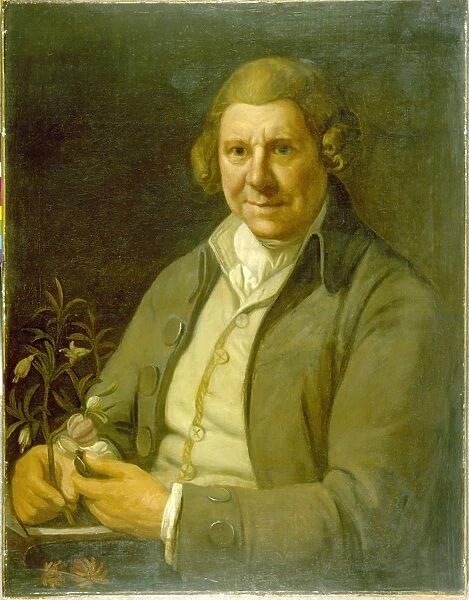 William Aiton (1731-1793)