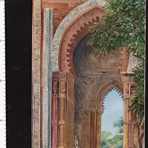 241. Tomb of Ali ud Deen and Neem Tree, Delhi