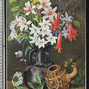 27. Chilian Lilies and other Flowers in Black Jug and ornamented