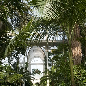 Palm House Interior