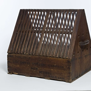 Wardian Case from the Economic Botany Collection, dated ca. 1870s