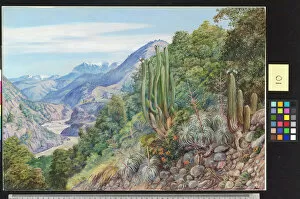 Marianne North Gallery: 10. The Baths of Cauquenas in the Cordilleras South of, Santiago