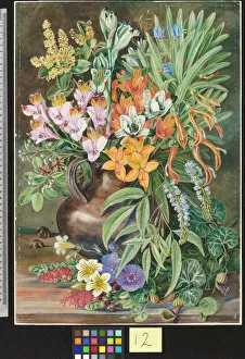 Painting Gallery: 12. Some Wild Flowers of Quilpue Chili