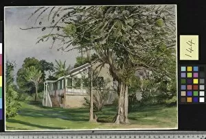 Landscape Gallery: 144. Bermuda Mount, Jamaica