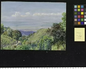 Bushes Gallery: 161. View over Kingston and Port Royal from Craigton, Jamaica