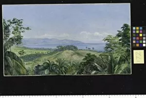 Palms Gallery: 172. View from Spring Gardens, Buffs Bay, Jamaica