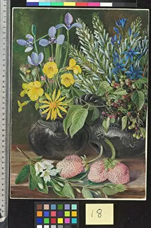 Purpal Gallery: 18. Chilian Flowers in Twin Mate Pot, and Chilian Strawberries
