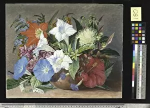 Marianne North Gallery: 180. Group of Flowers, Wild and Cultivated, in Jamaica