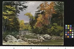 Marianne North Gallery: 191 Autumn tints in the White Mountains, New Hampshier, United States