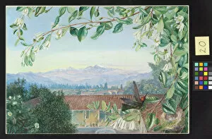 Marianne North Gallery: 20. The Permanent Snows, from Santiago; Patagua in front with Hu