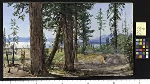 Marianne North Collection: 202. Lake Tahoe, California
