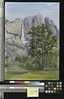 Marianne North Collection: 209. The Yosemite Waterfall, California