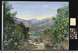 Marianne North Collection: 227. View from the top of the Waterfall at Ramboddy, Ceylon