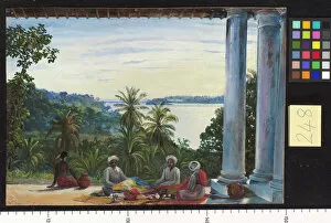 Marianne North Collection: 248. Bombay Pedlars in Mrs. Camerons Verandah, Kalutara, Ceylon