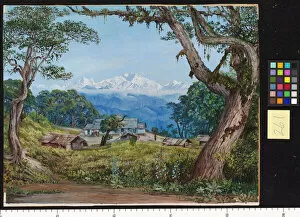 Marianne North Collection: 261. View of Kinchinjunga from Tonglo