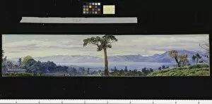 Marianne North Collection: 290. Pine-clad slopes of Nagkunda, North India, and view of the