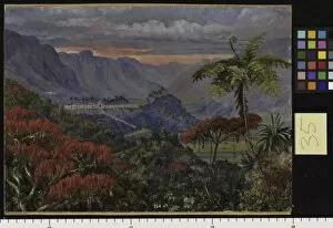 Marianne North Gallery: 35. View of the Jesuit College of Caracas, Minas Geraes, Brazil