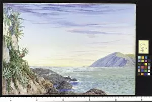 Marianne North Gallery: 359. Looking seaward from the mouth of St. Johns River, Kaffrar