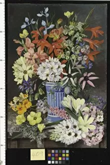 Images Dated 16th May 2011: 409. Old Dutch Vase and South African Flowers