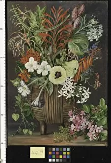 Marianne North Gallery: 449. South African Flowers in a wooden Kaffir Bowl