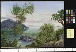 Marianne North Gallery: 461. Round Island and Ile Aride from Long Island, Seychelles