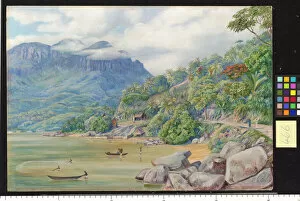 Marianne North Gallery: 466. Smelt-Fishing at Port Victoria, Mah, Seychelles