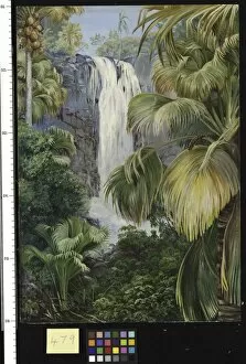 Marianne North Gallery: 479. Waterfall in the Gorge of the Coco de Mer, Praslin