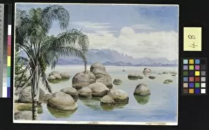 Marianne North Gallery: 48. Palm Trees and Boulders in the Bay of Rio, Brazil
