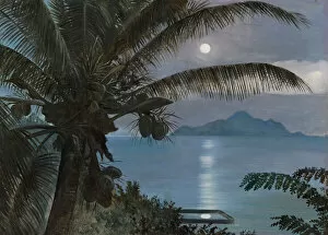Marianne North Collection: 481. Moon reflected in a turtle pool, Seychelles